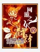 網遊之火的解釋