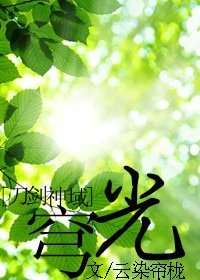 (刀劍神域同人)穹光